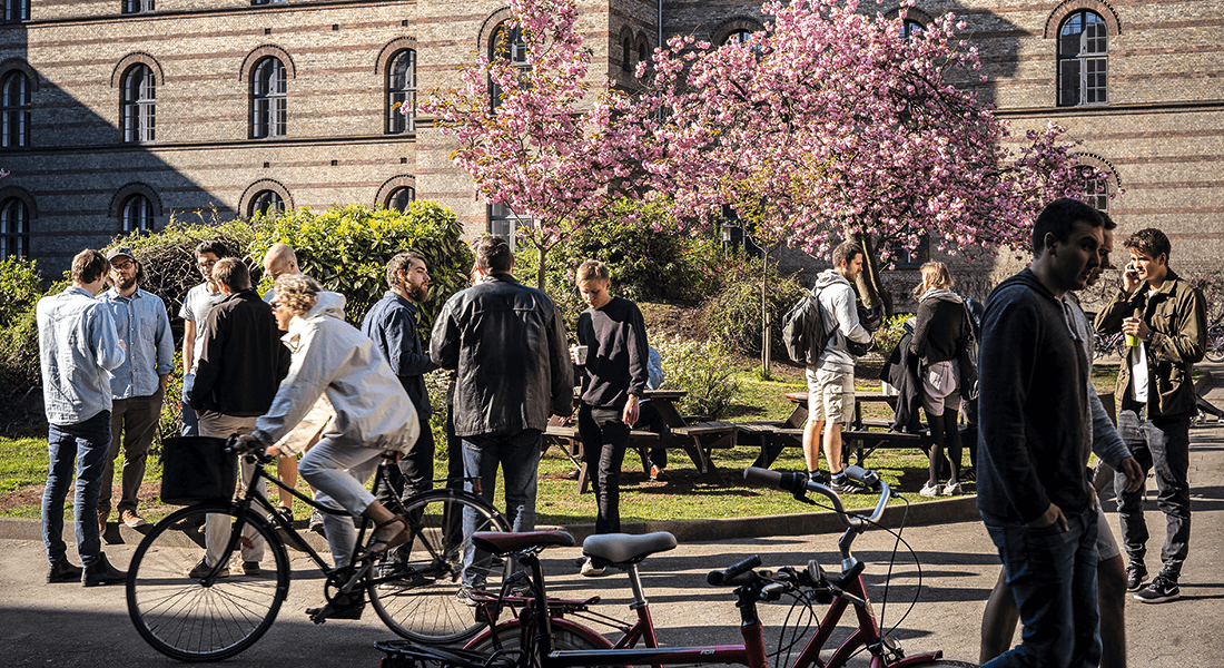 Students outside. Photo: Jens Markus Lindhe