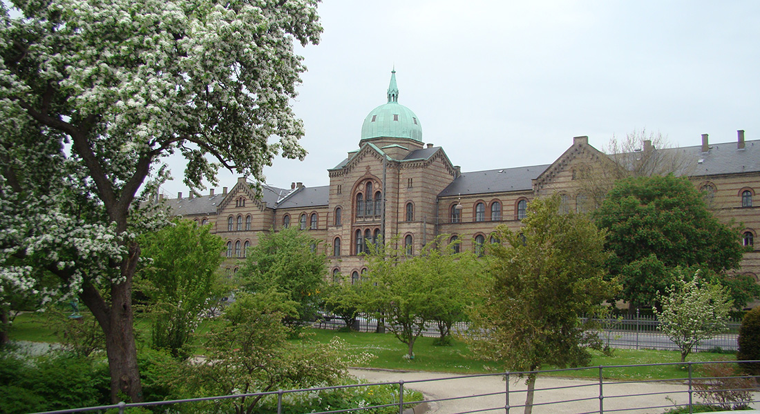 Centre for Health and Society (CSS) seen from Botanical Garden