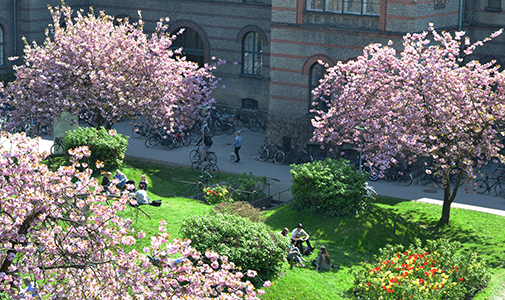 Springtime at campus: Trees of spring (front garden)