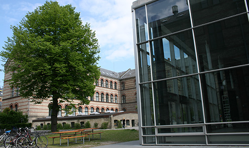 Green tree next to the lecture hall Chr. Hansen Auditorium